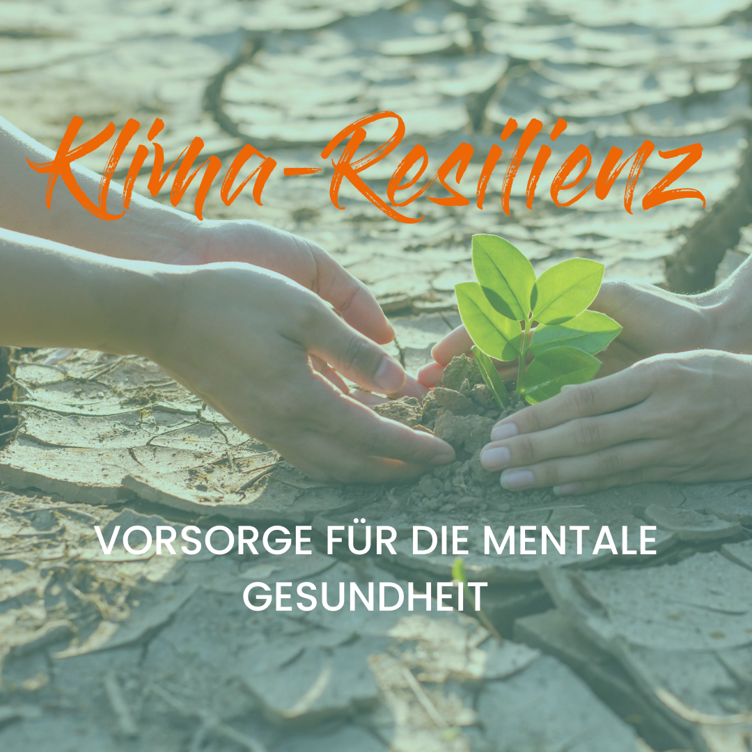 Klima-Anpassung: So wird Resilienz zur Strategie