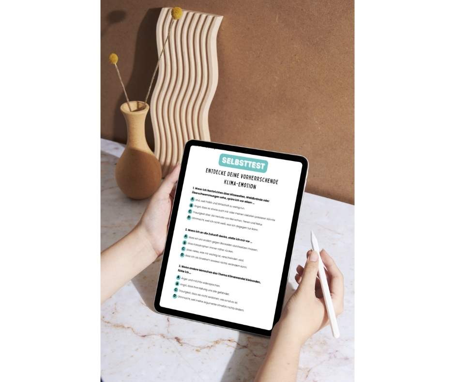 selbsttest klimaemotionen
